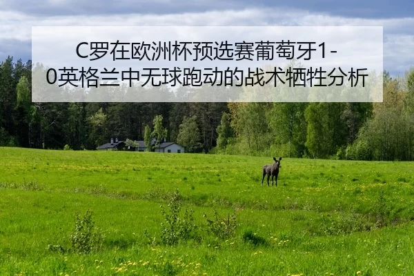 luo-zai-ou-zhou-bei-yu-xuan-sai-pu-tao-ya-ying-ge-lan-zhong-wu-qiu-pao-dong-de-zhan-shu-xi-sheng-fen-xi-2-657.jpg